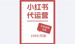 【小红书代运营】｜内容+店铺运营｜精准获客｜聚光